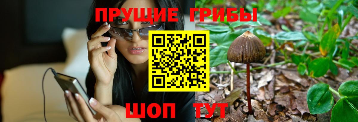 Казань  Галлюциногенные грибы MAGIC MUSHROOMS  Галлюциногенные грибы мицелий  Вход с VPN 